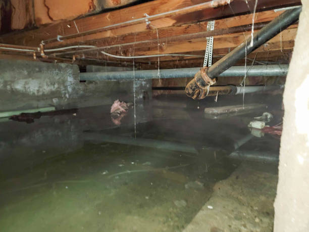 Best Residential water damage restoration  in Kennesaw State University, GA