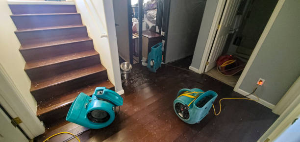 Best Flood damage cleanup  in Kennesaw State University, GA