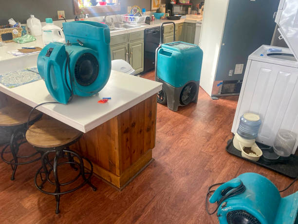 Best Flooded house restoration  in Kennesaw State University, GA