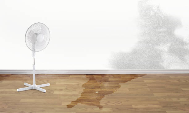 Best Emergency water damage restoration  in Kennesaw State University, GA