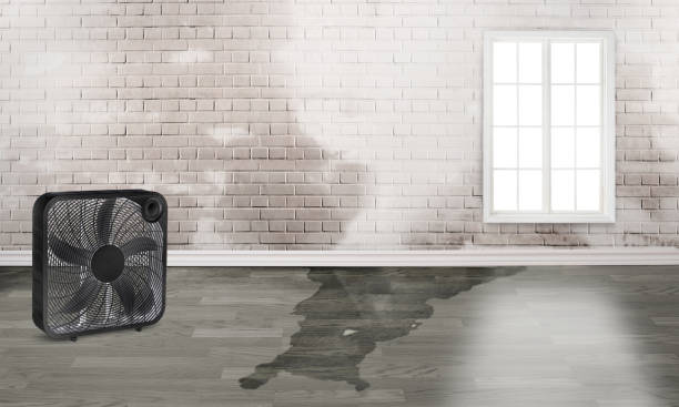Best Ceiling water damage repair  in Kennesaw State University, GA