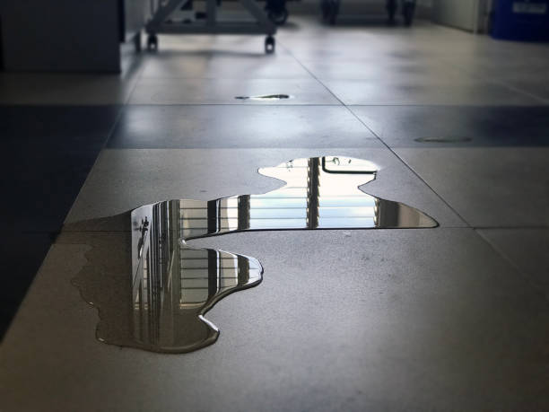 Carpet water damage restoration in Kennesaw State University, GA