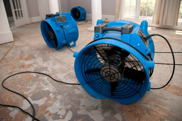 Best Local water damage restoration  in Kennesaw State University, GA