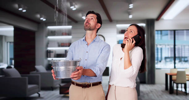 Best Professional water damage repair  in Kennesaw State University, GA